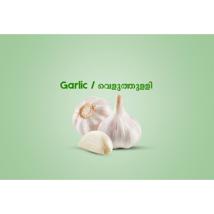Garlic / വെളുത്തുള്ളി (500.00 gm)